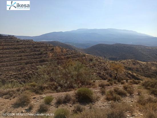 Finca rustica de 90.000 Metros en Ugijar - GRANADA