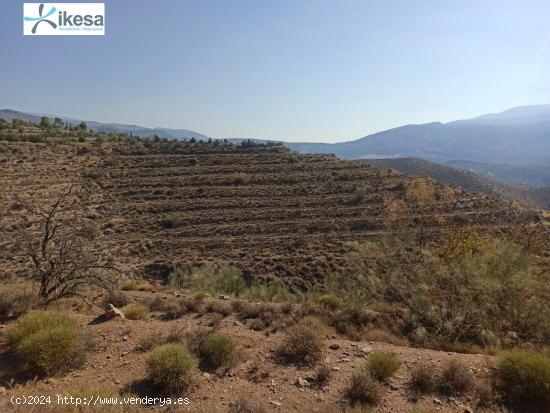 Finca rustica de 90.000 Metros en Ugijar - GRANADA