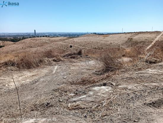 Venta de Finca Rústica en Lugar FINC DIVINA PASTORA.  Castilleja de Guzmán (SEVILLA) - SEVILLA