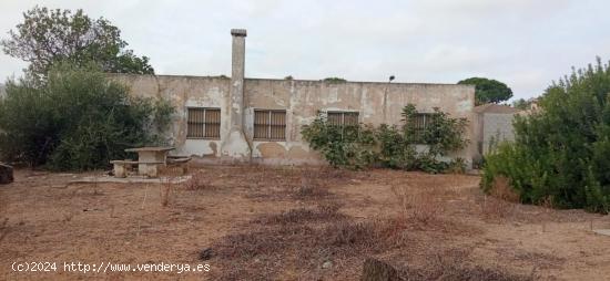 PARCELA SEGREGADA EN EL MARQUESADO - CADIZ