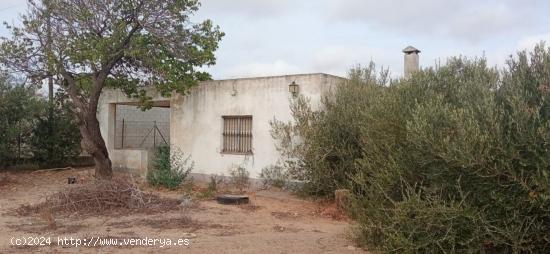 PARCELA SEGREGADA EN EL MARQUESADO - CADIZ