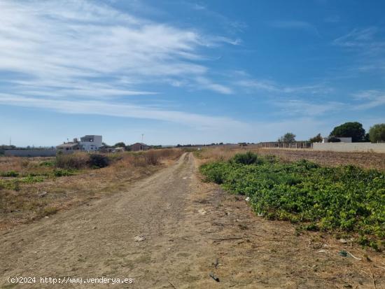 Se vende parcela Segregada de 3470m2 zona Venta Tocino. - CADIZ