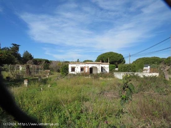 GRAN TERRENO EN LA ZONA DE LA RANA VERDE CON VIVIENDA PARA REFORMAR - CADIZ