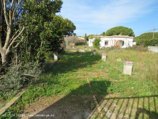 GRAN TERRENO EN LA ZONA DE LA RANA VERDE CON VIVIENDA PARA REFORMAR - CADIZ