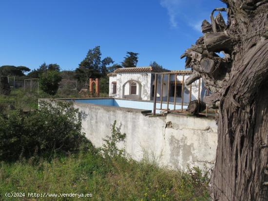 GRAN TERRENO EN LA ZONA DE LA RANA VERDE CON VIVIENDA PARA REFORMAR - CADIZ