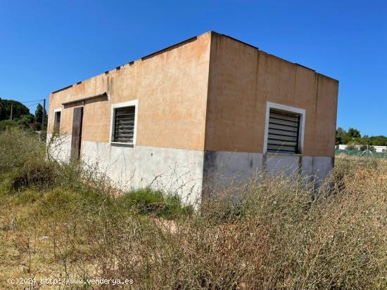  OCASIÓN CASITA DE CAMPO CON AMPLIA PARCELA EN UN LUGAR IDEAL. - CADIZ 