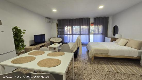  LOFT REFORMADO  EN CAROLINAS - ALICANTE 