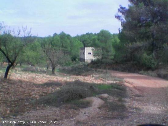 Finca rústica en venta  - ALBACETE