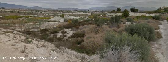  FINCA RÚSTICA DE REGADÍO EN ALGUAZAS 2700 METROS - MURCIA 