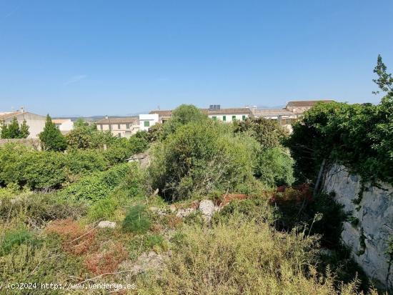  TERRENO URBANO EN MONTUÏRI - BALEARES 