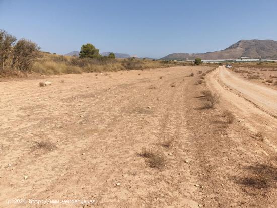 Fincas Rústicos en venta en Aledo - MURCIA