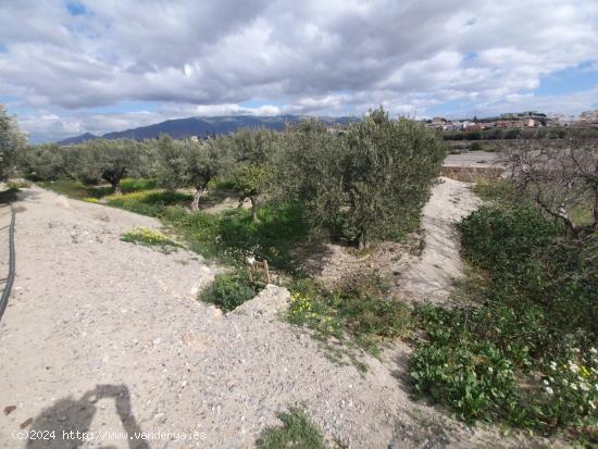 PARCELA RUSTICA EN EL CENTRO DE HUERCAL - ALMERIA