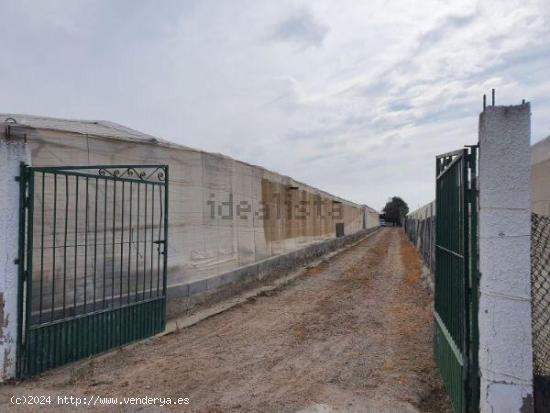 CASA CON TERRENO - ALMERIA