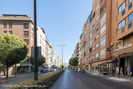 PISO JUNTO A CIENCIAS - GRANADA