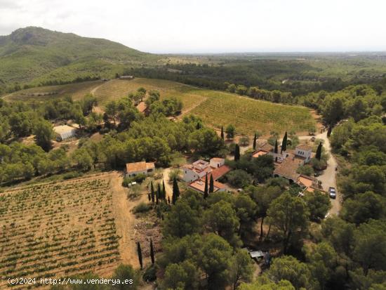 Única y exclusiva Finca de 8 has con varias viviendas y bodegas, vistas mar y montaña - TARRAGONA