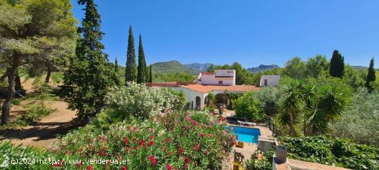 Única y exclusiva Finca de 8 has con varias viviendas y bodegas, vistas mar y montaña - TARRAGONA