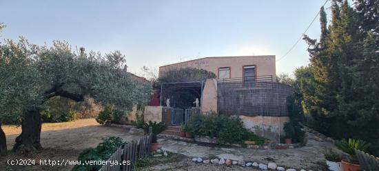 Finca Rústica con 2 casas unifamiliares, luz eléctrica de compañía y pozo de agua propio - TARRA