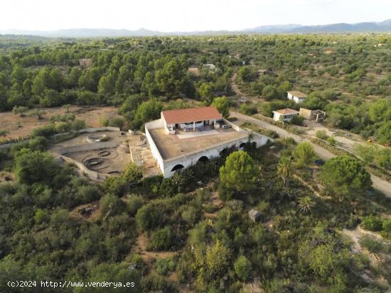 Finca Rústica de 24.565 M2 con varias construcciones a reformar - TARRAGONA