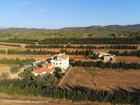 Gran Finca de cultivo de regadío de 26,23 Has con 3 viviendas y 2 almacenes, entre otras - TARRAGON