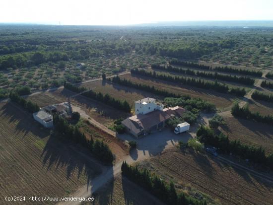 Gran Finca de cultivo de regadío de 26,23 Has con 3 viviendas y 2 almacenes, entre otras - TARRAGON