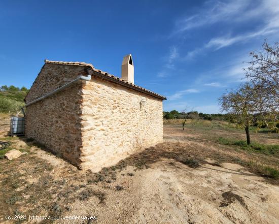 Finca con magníficas vistas y bonita casa de campo de 40 M2 - TARRAGONA