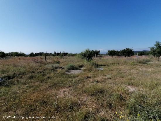 TERRENO RUSTICO CASINOS con agua. - VALENCIA