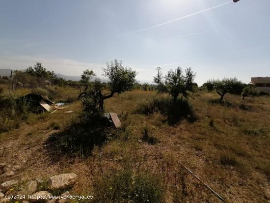 TERRENO RUSTICO CASINOS con agua. - VALENCIA