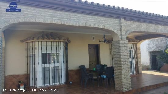  VENTA DE DOS CHALETS EN LA RANA VERDE - CADIZ 