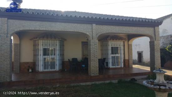 VENTA DE DOS CHALETS EN LA RANA VERDE - CADIZ