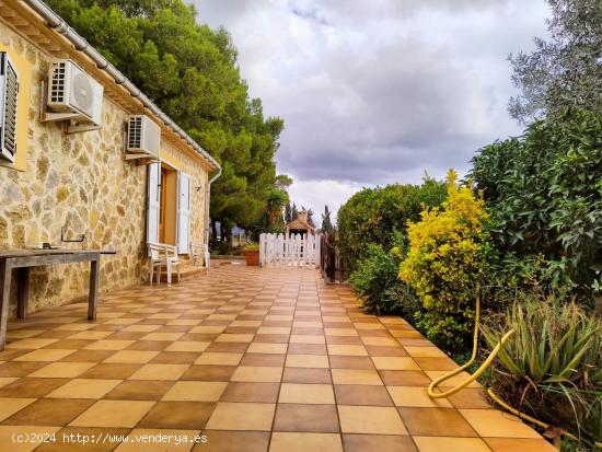 FINCA RÚSTICA EN INCA - BALEARES