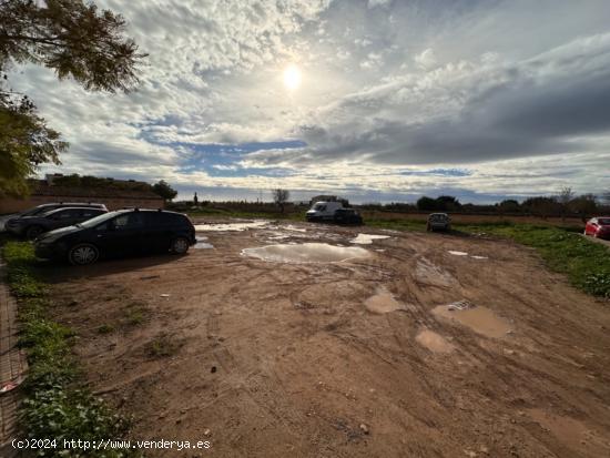  TERRENO URBANIZABLE EN BINISSALEM - BALEARES 