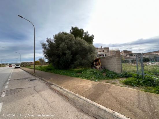 SOLAR EDIFICABLE EN CAMPOS. - BALEARES