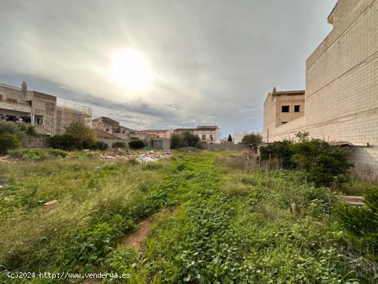 SOLAR EDIFICABLE EN CAMPOS. - BALEARES