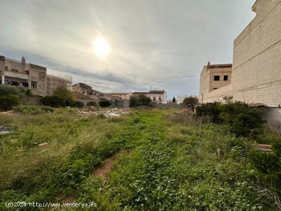 SOLAR EDIFICABLE EN CAMPOS. - BALEARES