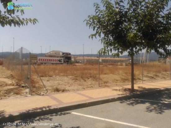 PARCELA EN RESIDENCIAL EL SEÑORIO - MURCIA