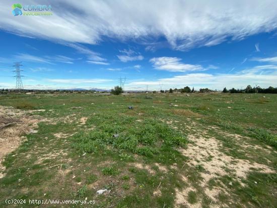 FINCA UBICADA EN PARAJE DE TORREGUIL - MURCIA