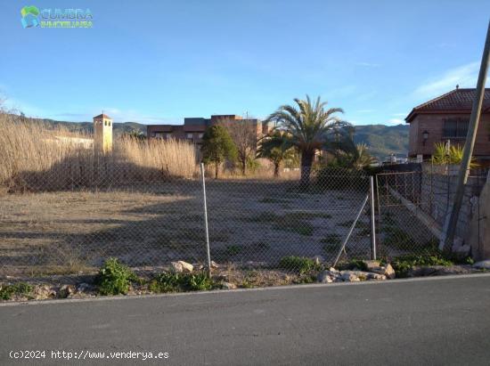 PARCELA EN LA HUERTA DE MURCIA A UN PASO DEL CENTRO - MURCIA