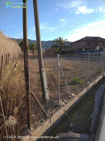 PARCELA EN LA HUERTA DE MURCIA A UN PASO DEL CENTRO - MURCIA