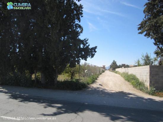 PARCELA RÚSTICA EN PARAJE DE TORREGUIL - MURCIA