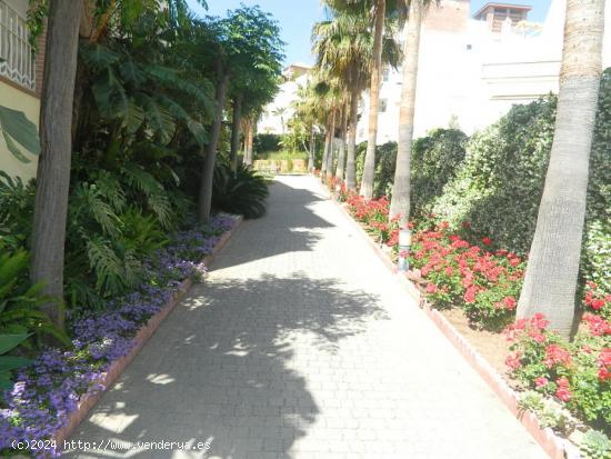  ATICO DE LUJO CON BUHARDILLA EN BENALMADENA A 600 METROS DE LA PLAYA . CON PISCINA Y JARDINES COMUNI 