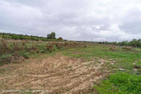 FINCA RUSTICA MUY LLANA - MALAGA