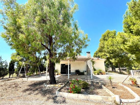 Chalet con 9.500m2 de parcela en molina de segura - MURCIA