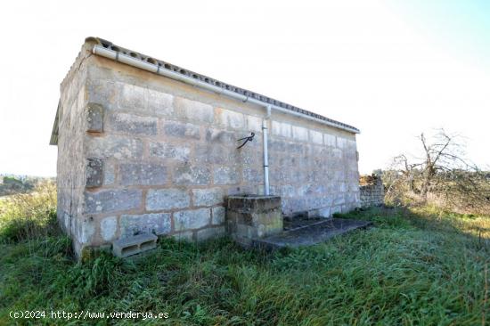 Terreno edificable en Llubi. - BALEARES