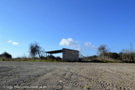 Terreno edificable en Llubi. - BALEARES