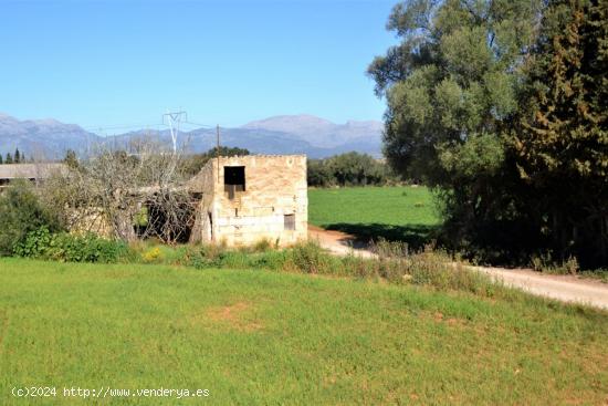 Finca con casa de campo en Llubi - BALEARES