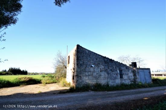 Finca con casa de campo en Llubi - BALEARES