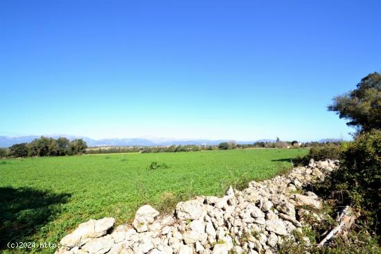 Terreno en zona rústica en Muro - BALEARES