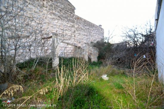 Solar en Muro muy bien ubicado. - BALEARES