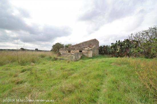 Casa de campo para reformar en Muro. - BALEARES