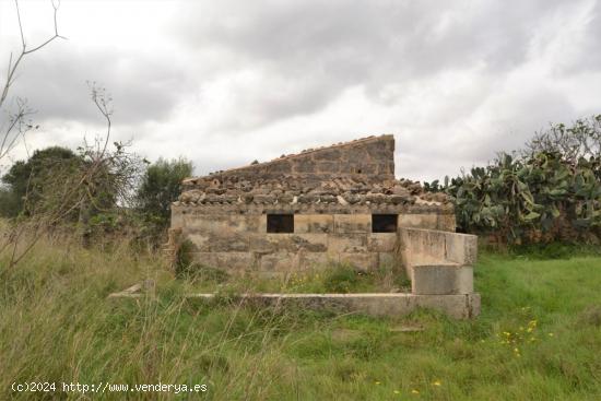 Casa de campo para reformar en Muro. - BALEARES